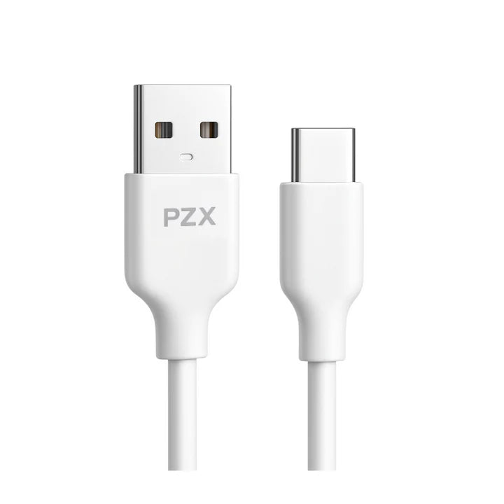 Cargador Carga Inteligente PZX P10 B2B