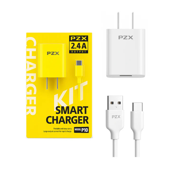 Cargador Carga Inteligente PZX P10 B2B